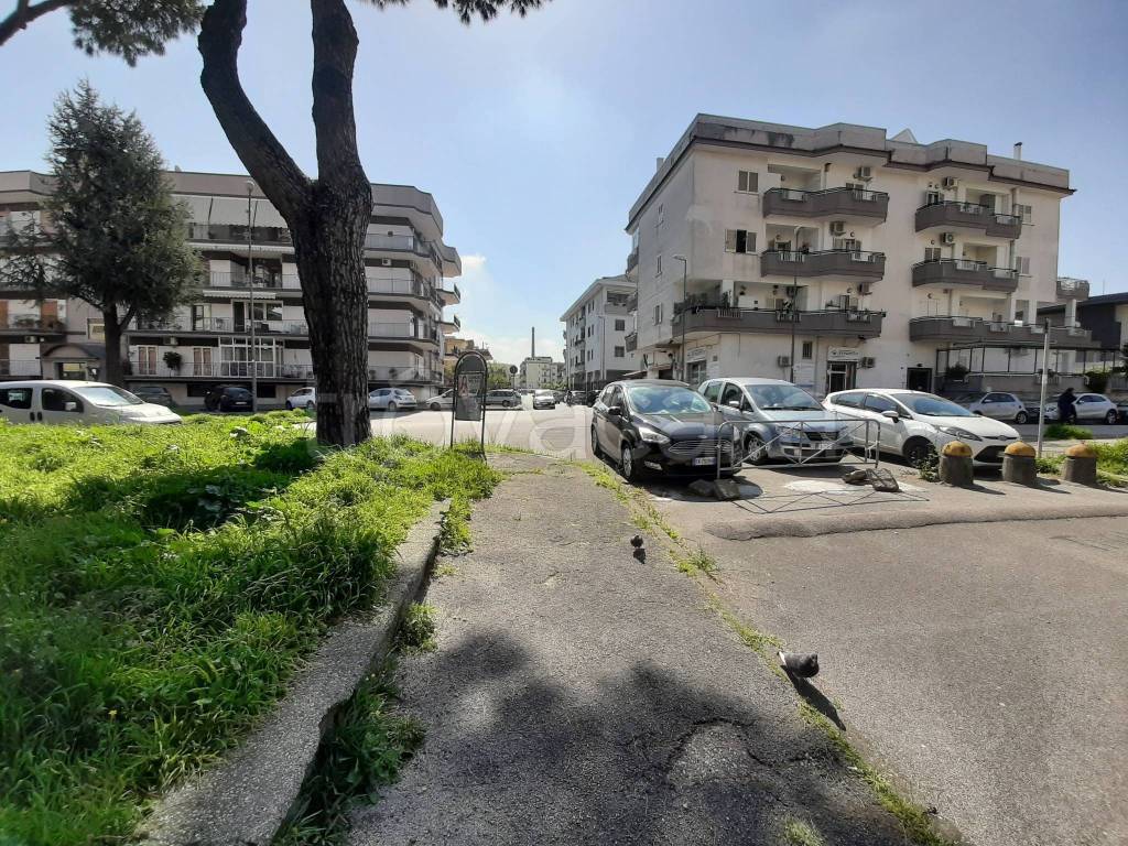 immagine annuncio 6 di 12