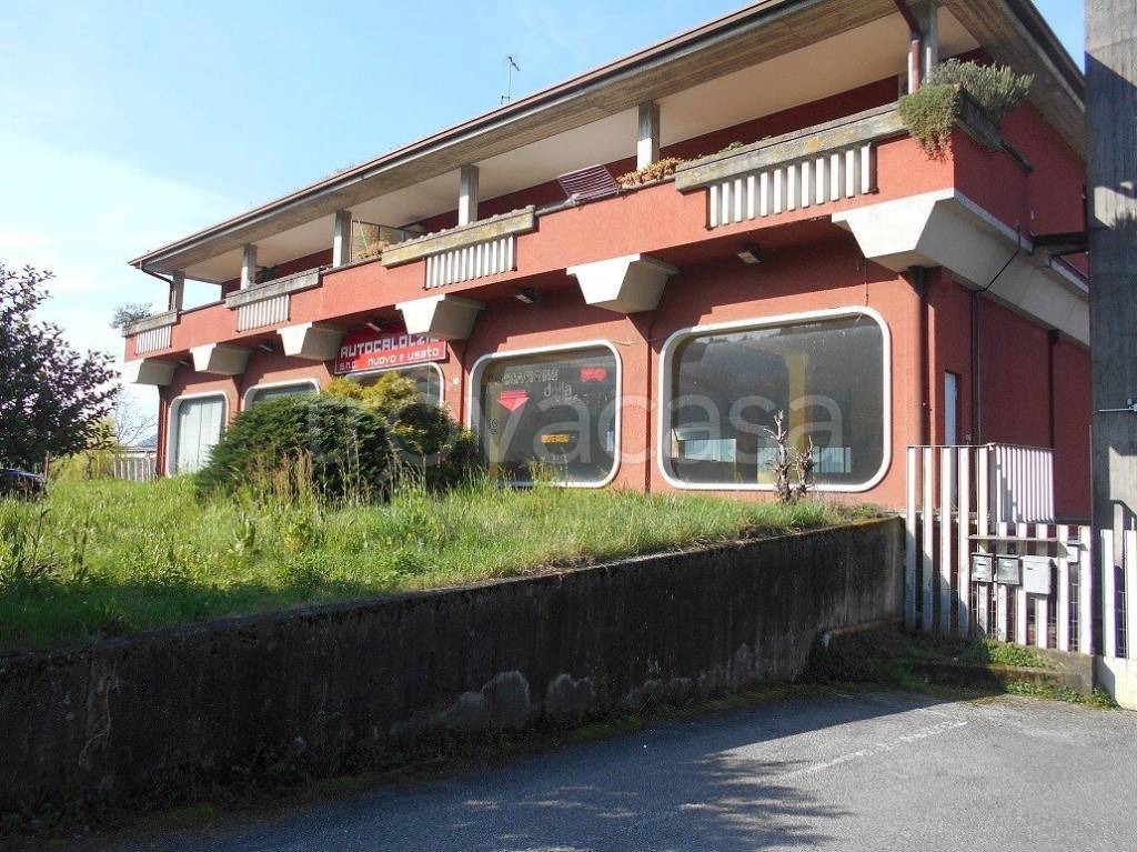 immagine annuncio 1 di 10