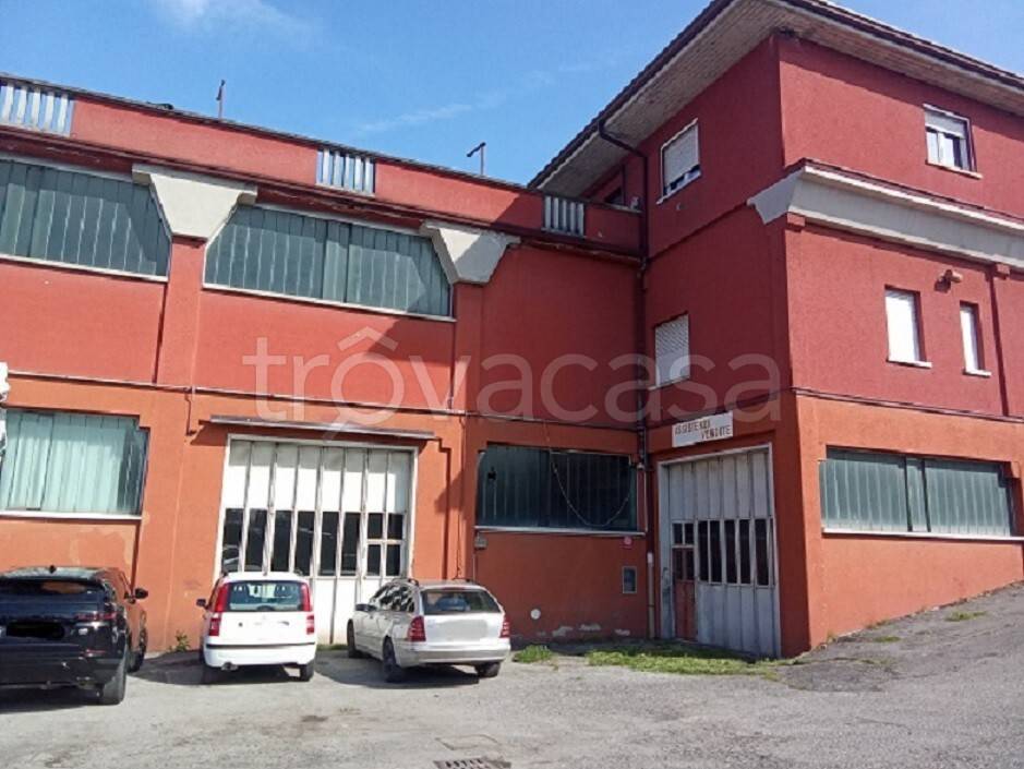 immagine annuncio 1 di 9