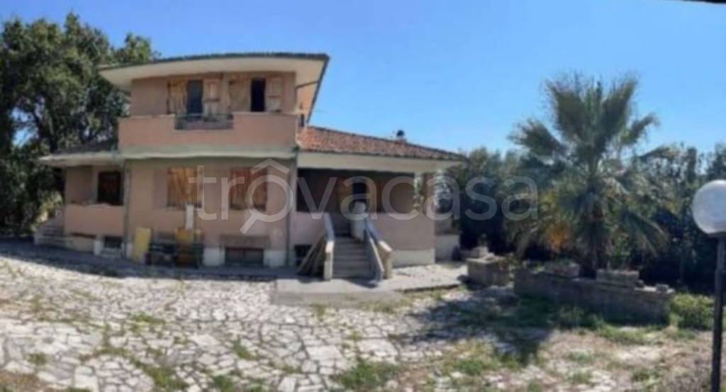 immagine annuncio 5 di 14