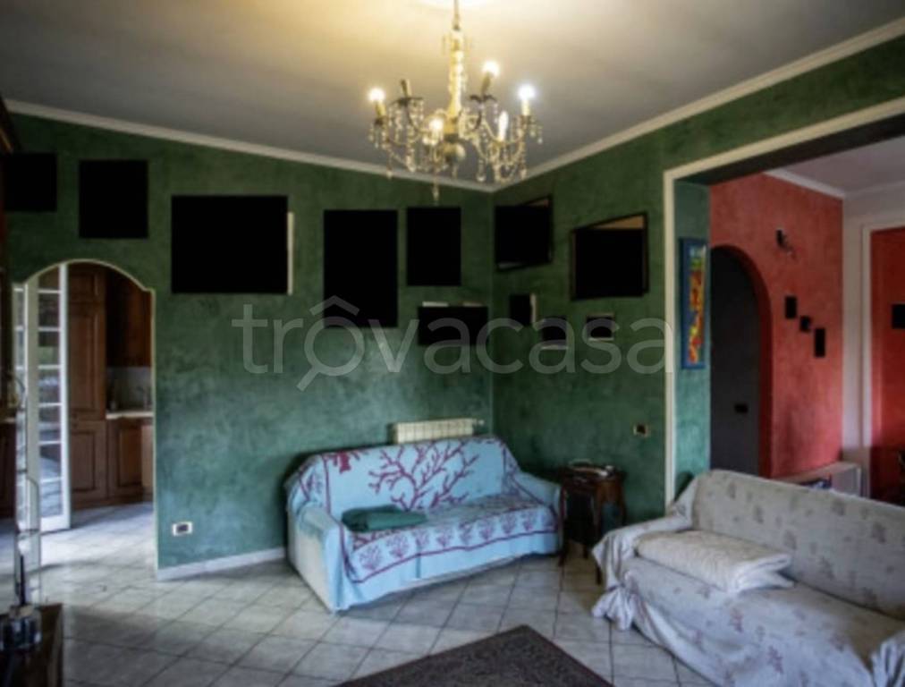immagine annuncio 12 di 14