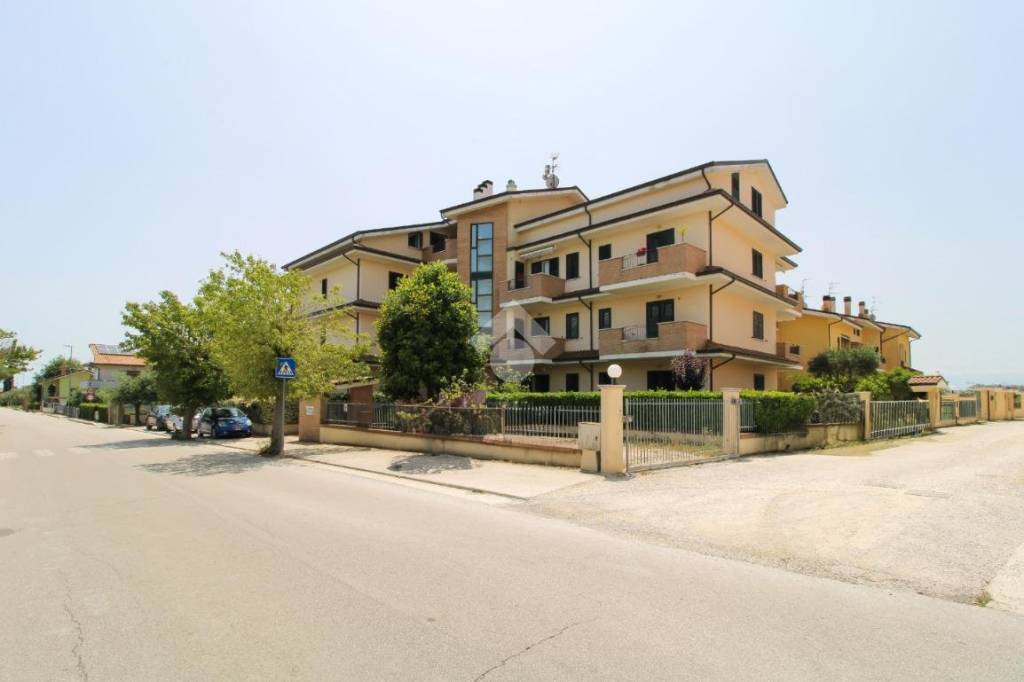 immagine annuncio 12 di 14