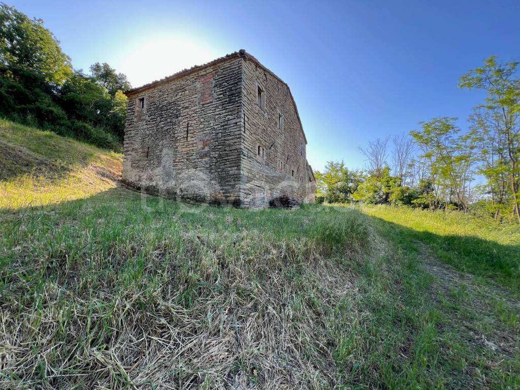 immagine annuncio 5 di 11