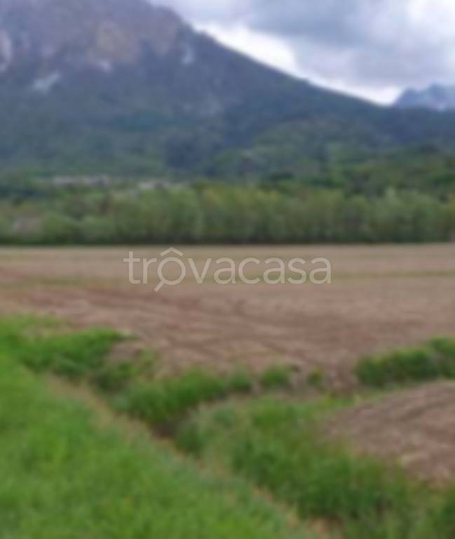 immagine annuncio 7 di 13