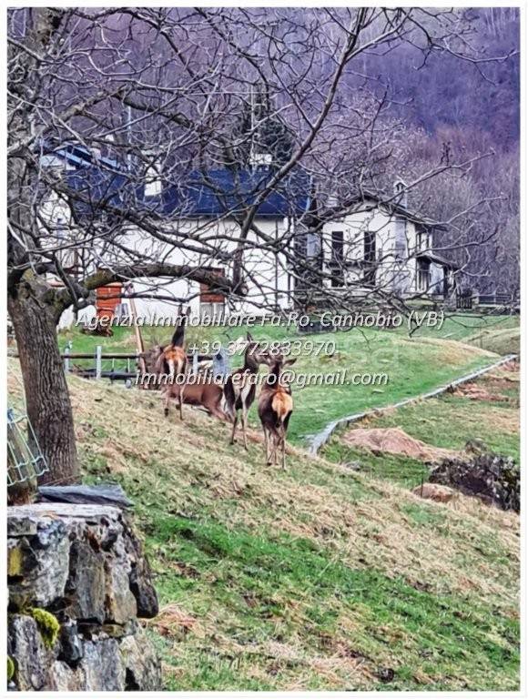immagine annuncio 13 di 15