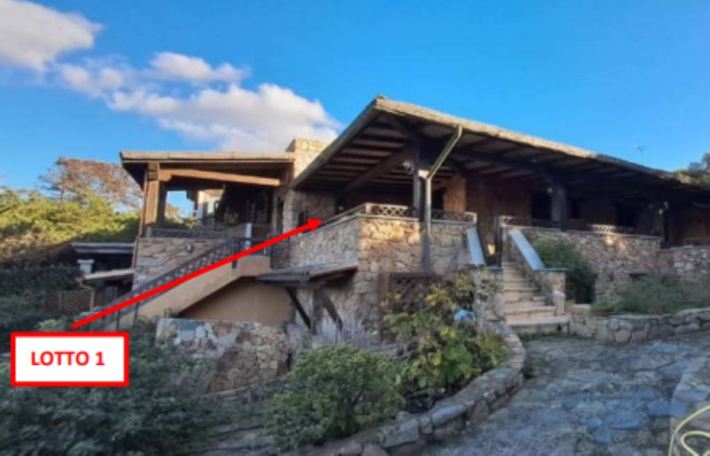 immagine annuncio 9 di 12