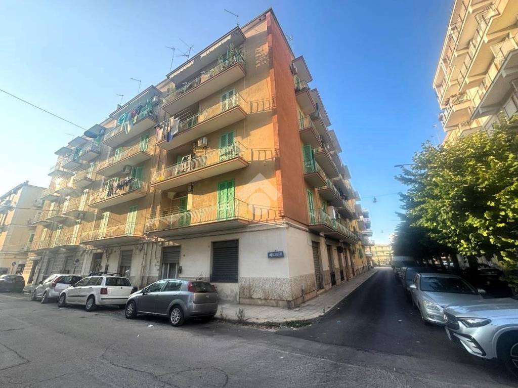 immagine annuncio 11 di 13