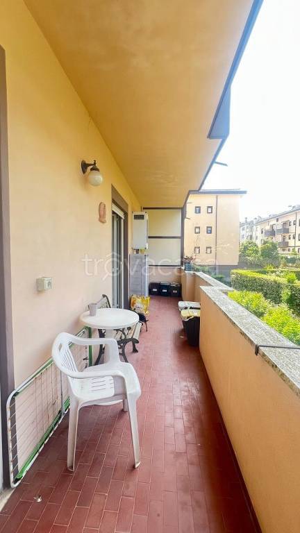 immagine annuncio 9 di 15