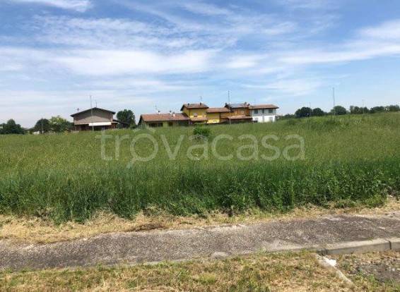 immagine annuncio 1 di 8