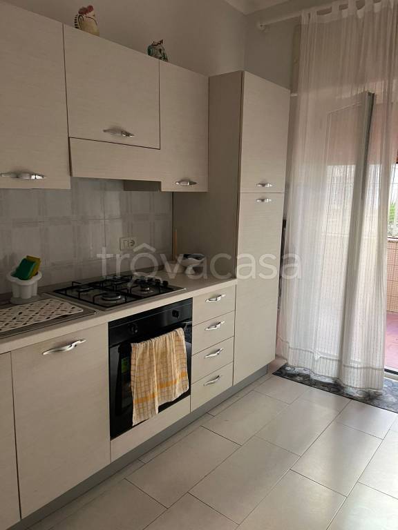 immagine annuncio 9 di 12