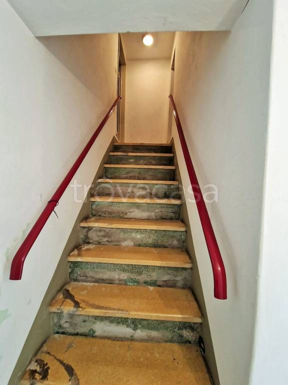 immagine annuncio 9 di 14