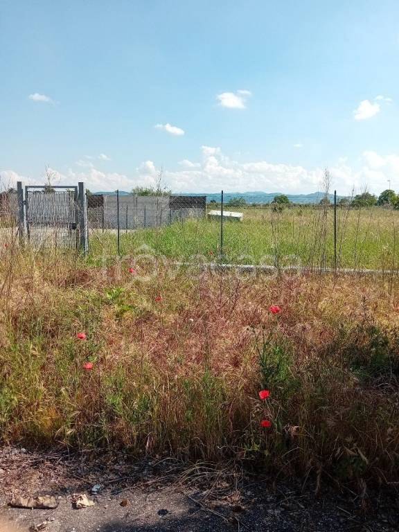 immagine annuncio 1 di 2