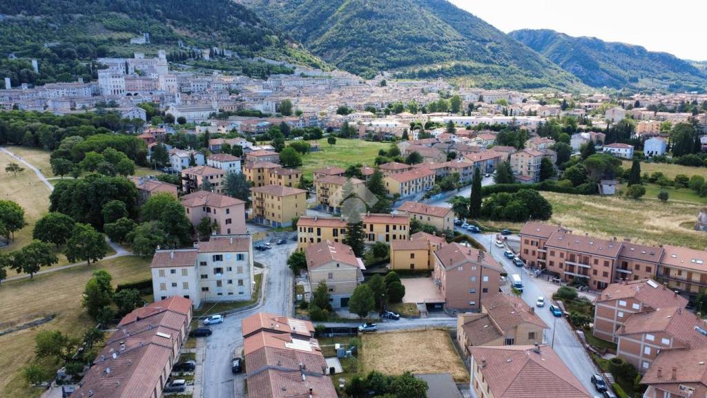 immagine annuncio 4 di 6