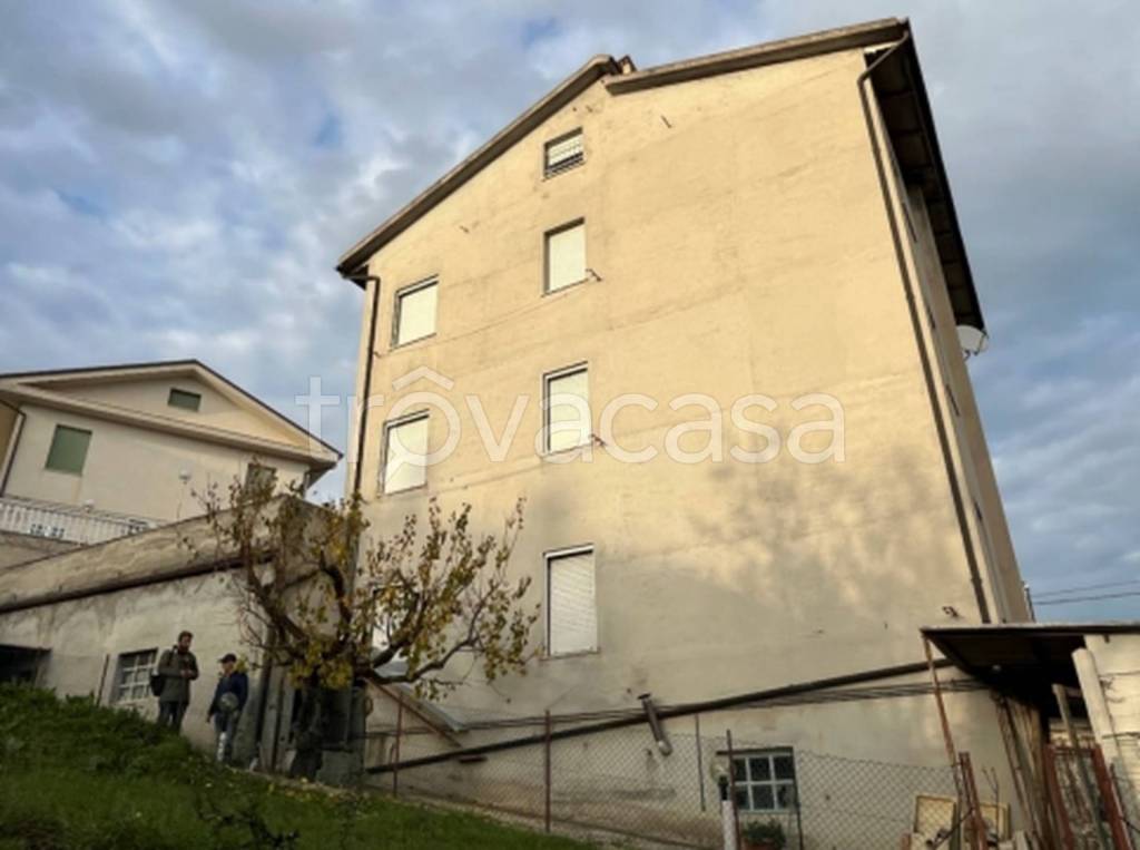 immagine annuncio 6 di 13