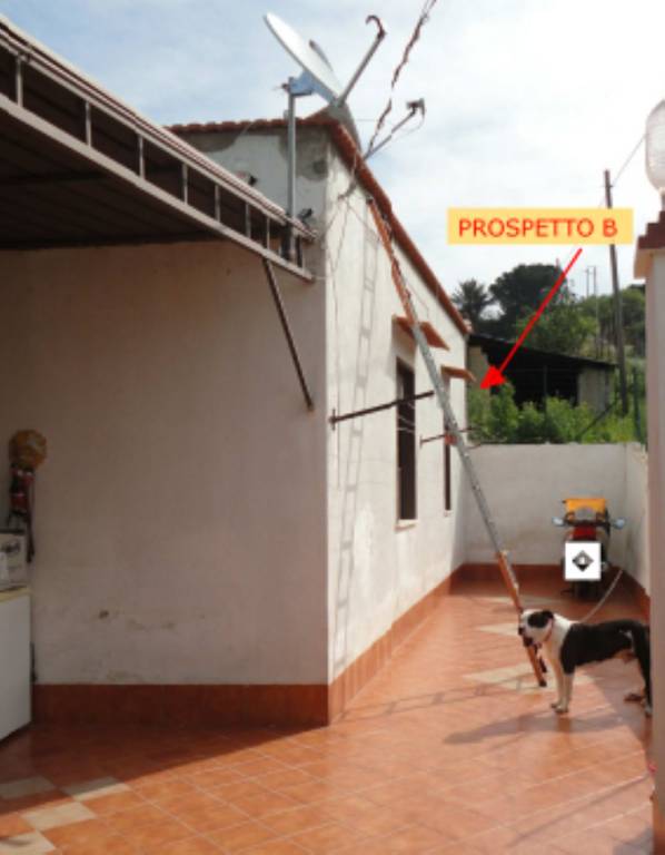immagine annuncio 6 di 9