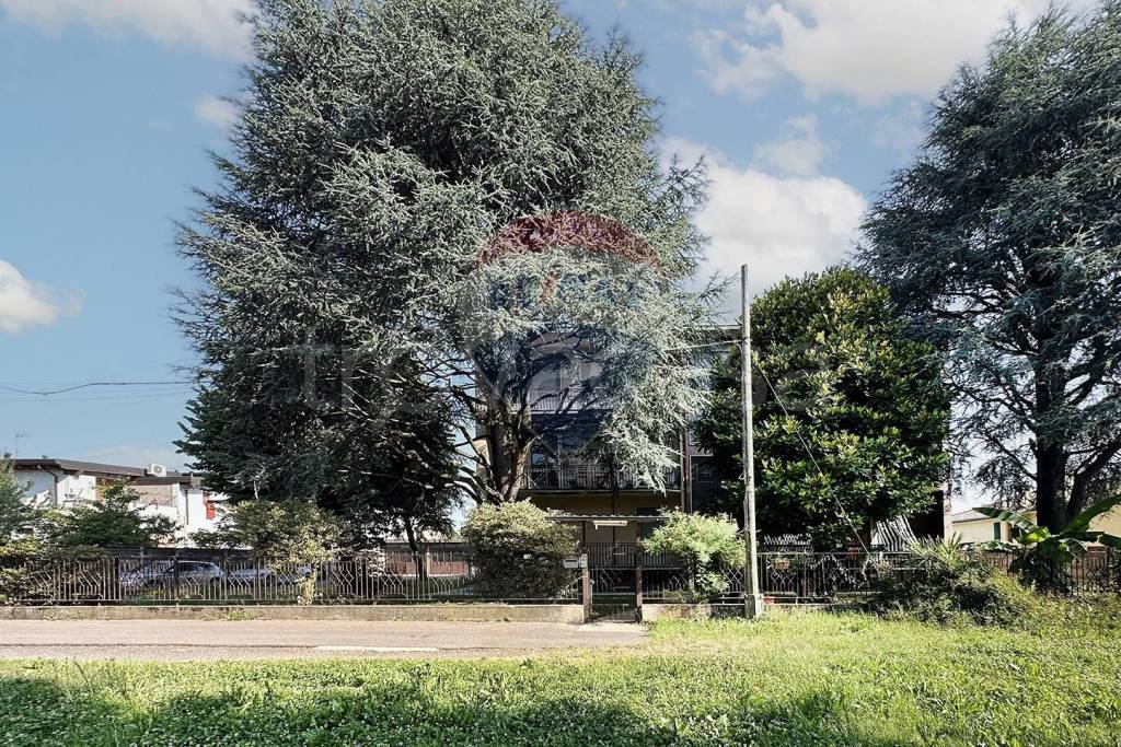 immagine annuncio 1 di 14