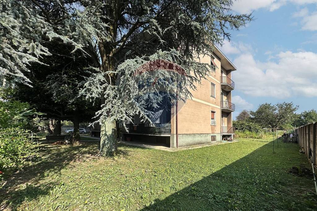 immagine annuncio 5 di 14