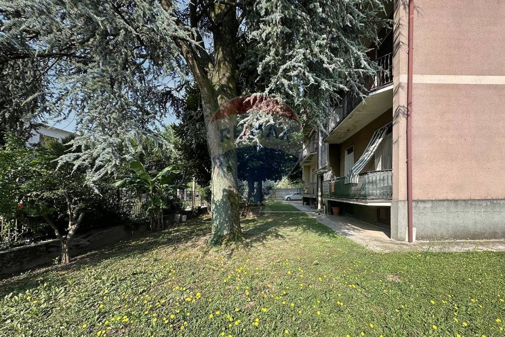 immagine annuncio 6 di 14