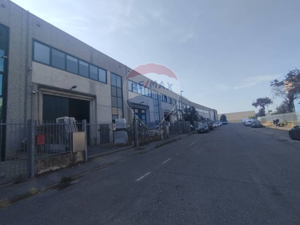 immagine annuncio 12 di 15