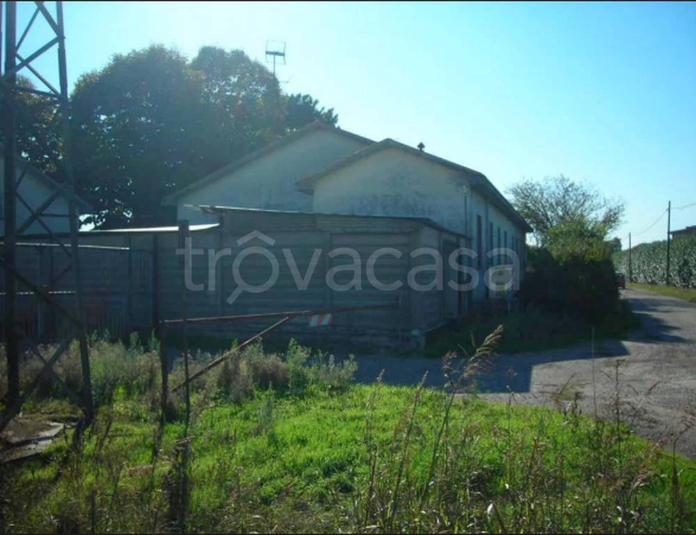 immagine annuncio 4 di 12