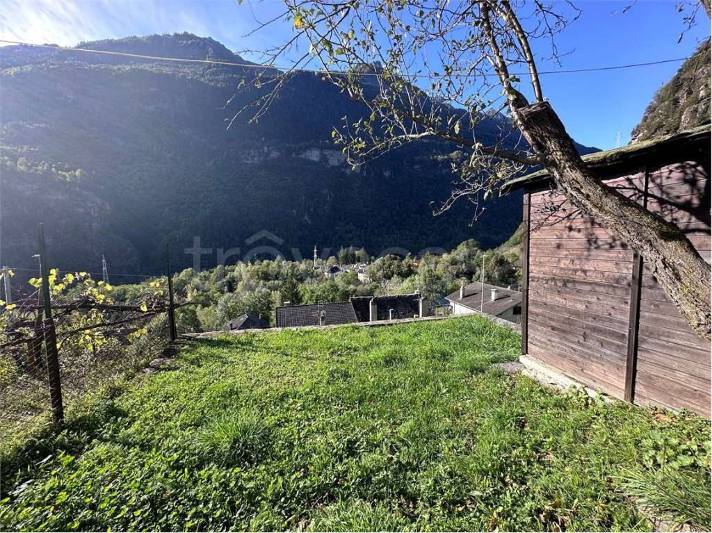 immagine annuncio 7 di 14