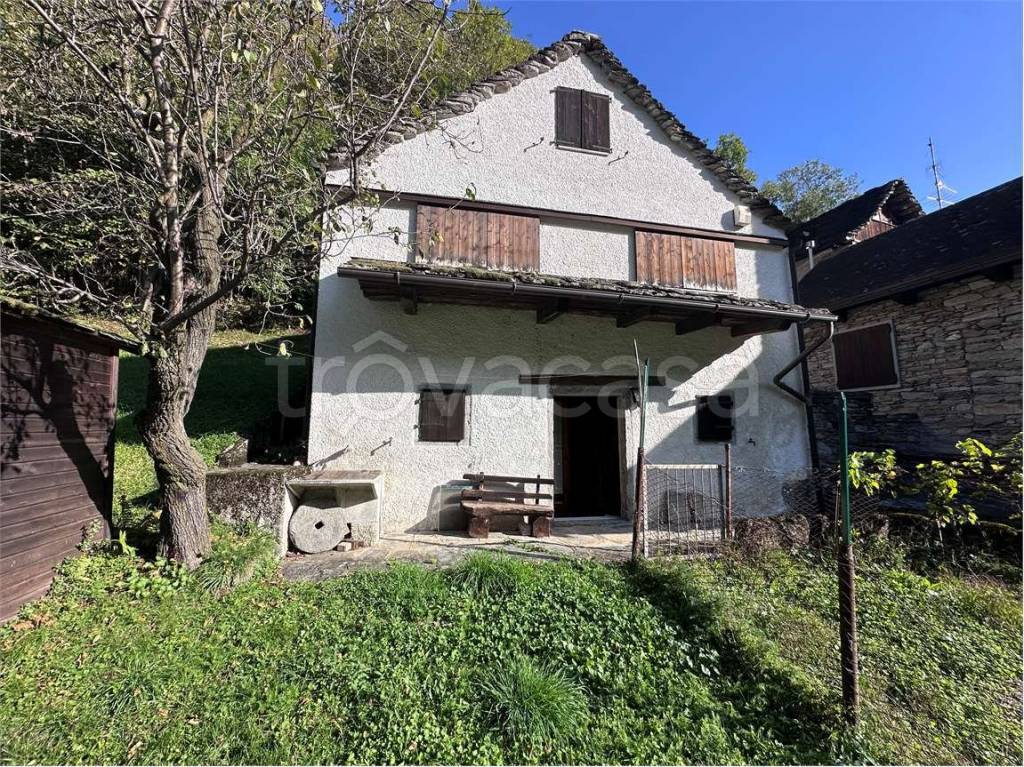 immagine annuncio 8 di 14