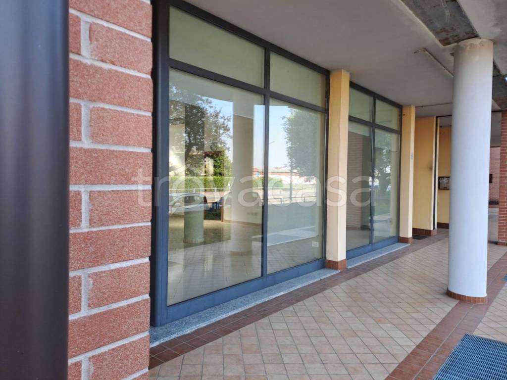 immagine annuncio 1 di 6