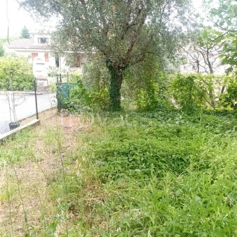 immagine annuncio 4 di 9
