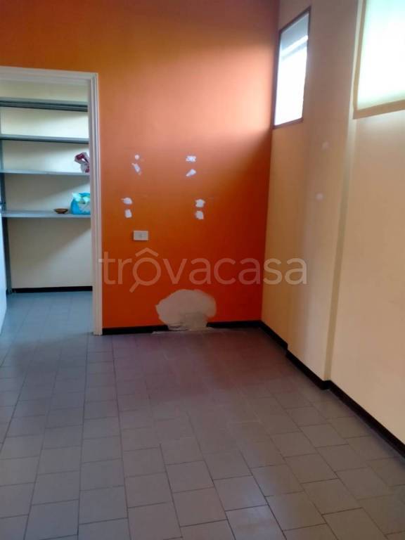 immagine annuncio 9 di 14