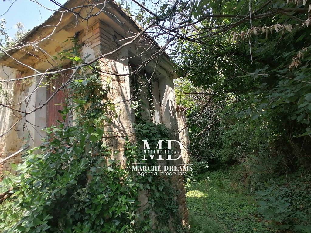 immagine annuncio 3 di 8