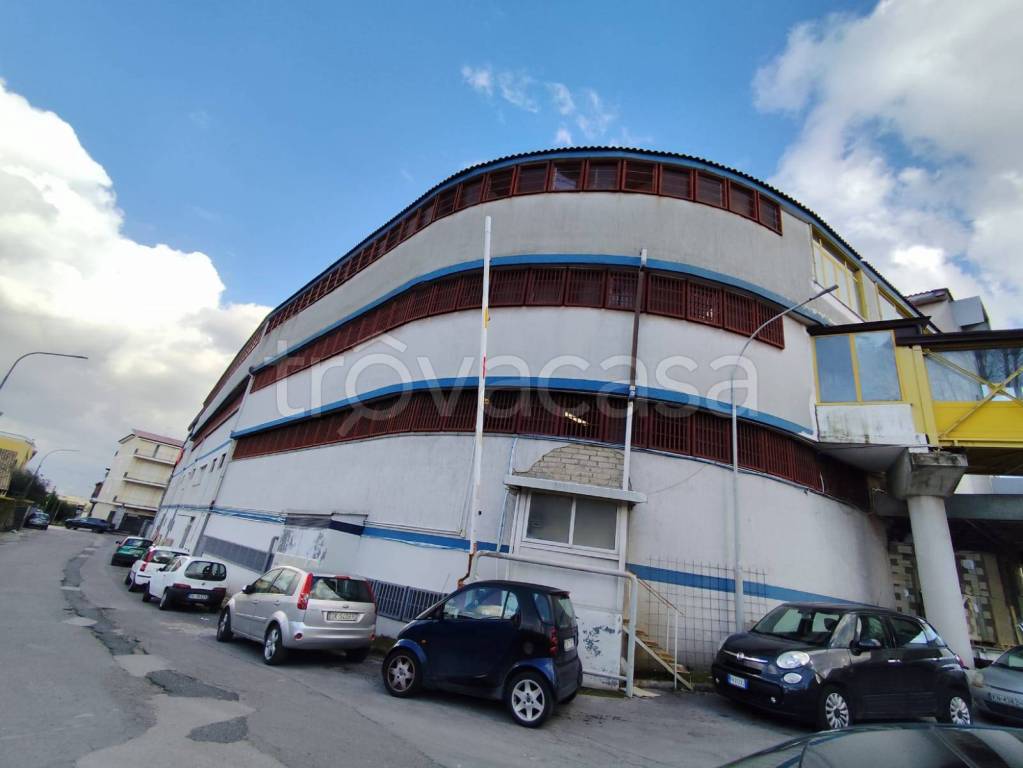 immagine annuncio 1 di 6