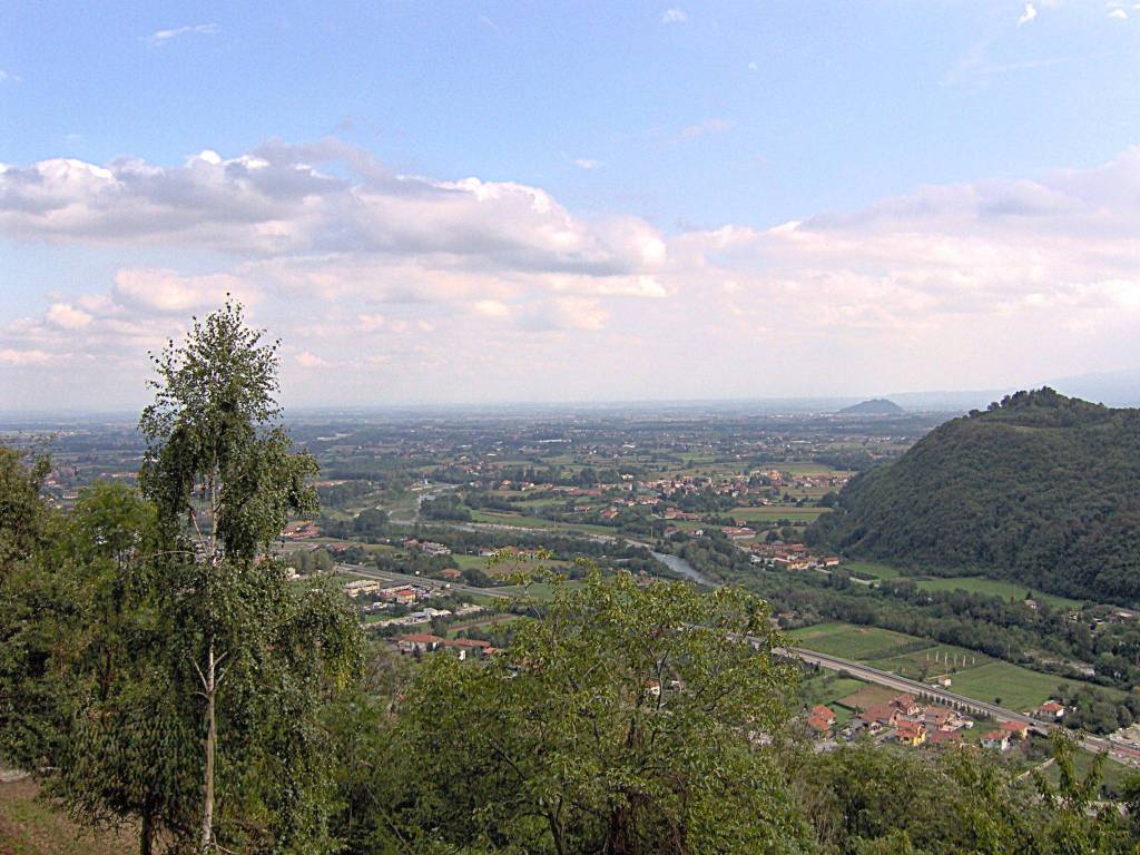 immagine annuncio 1 di 7