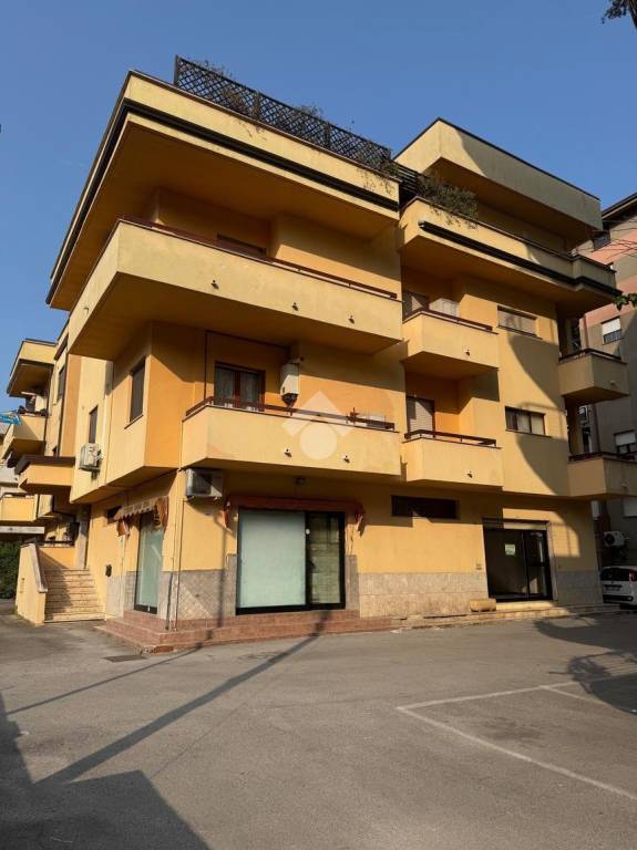 immagine annuncio 1 di 6