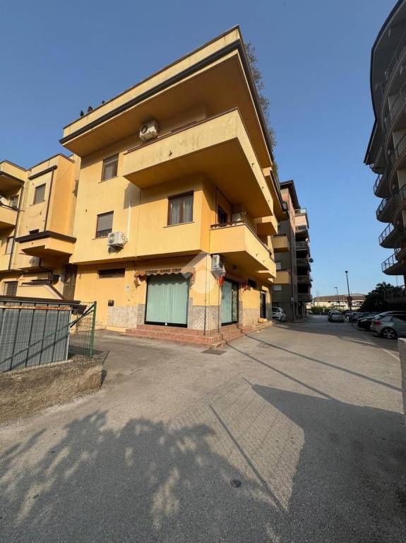 immagine annuncio 3 di 6