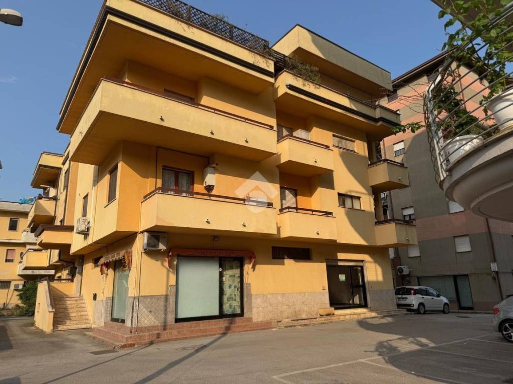 immagine annuncio 5 di 6