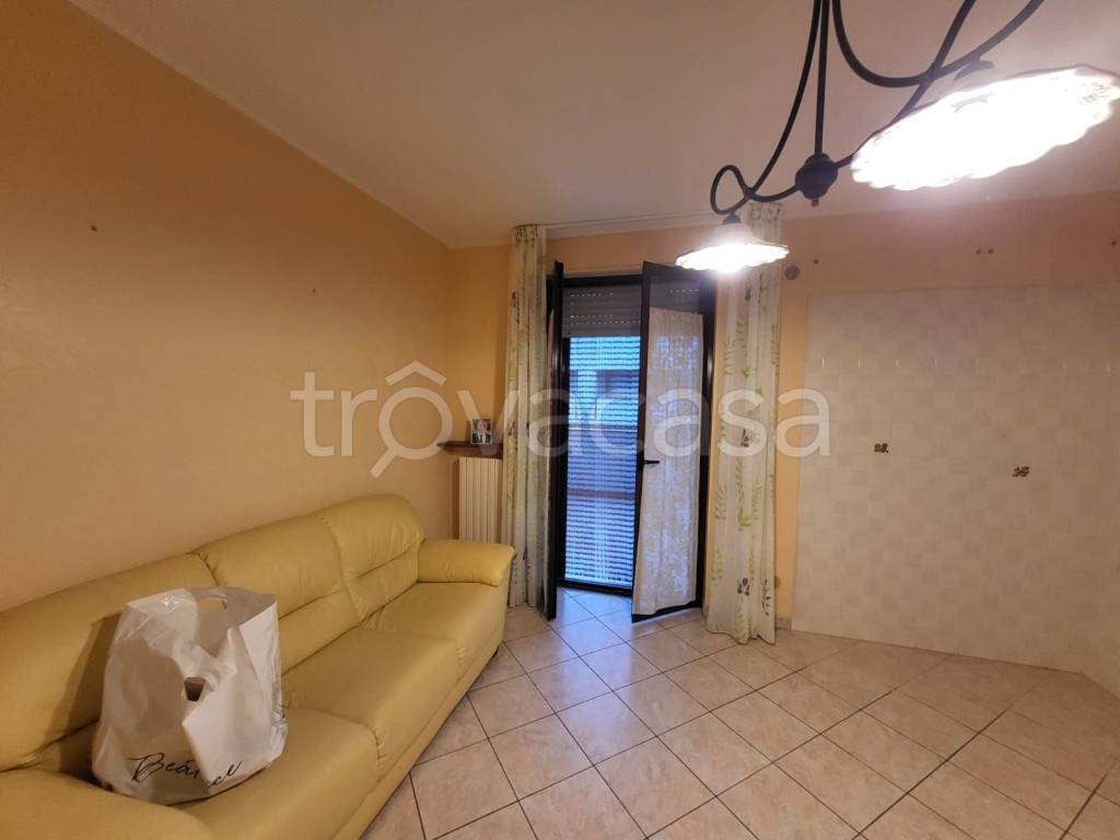 immagine annuncio 4 di 12