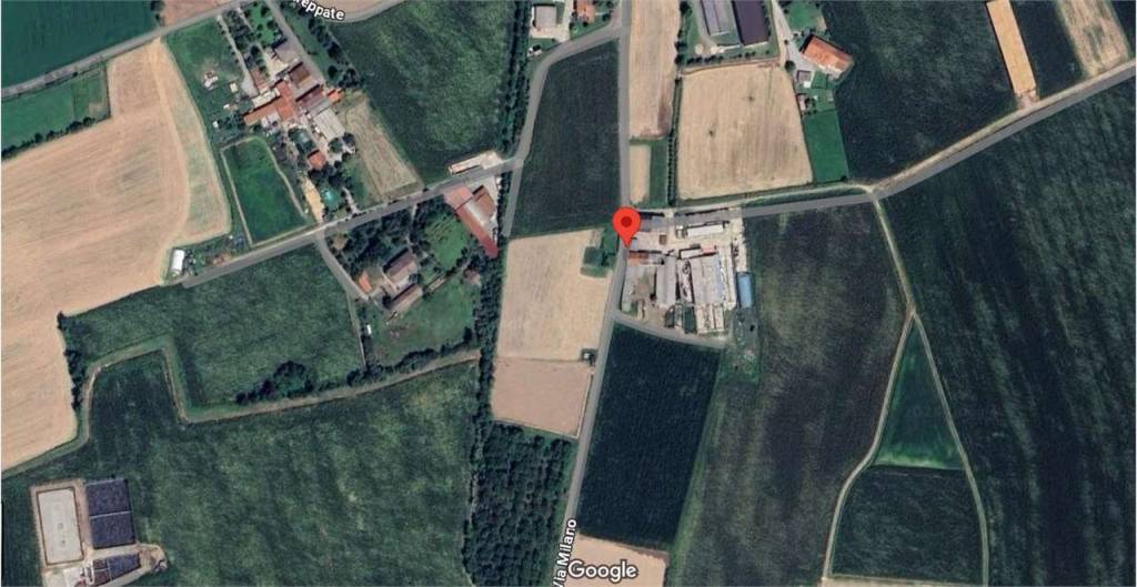 immagine annuncio 2 di 11