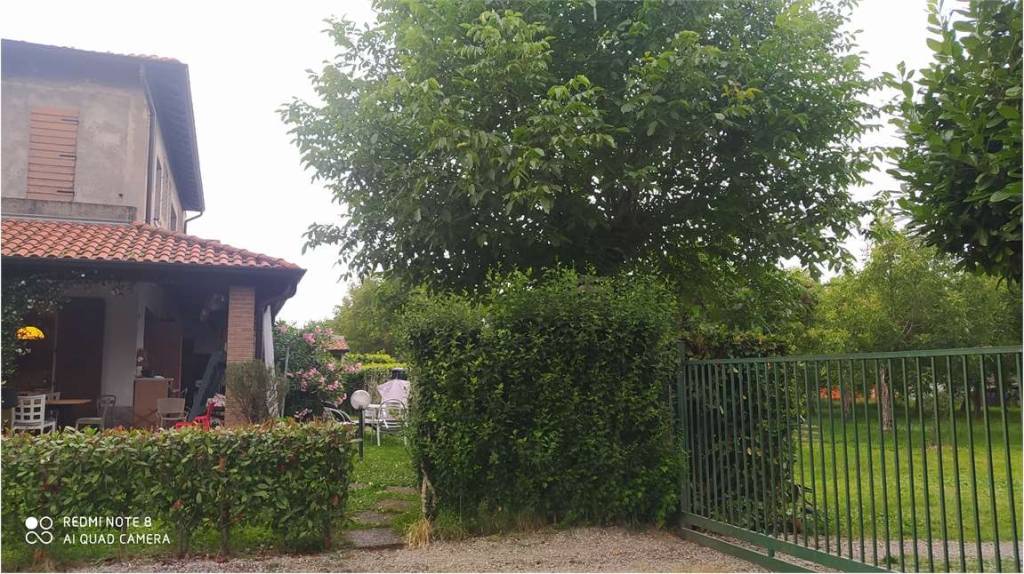 immagine annuncio 13 di 14