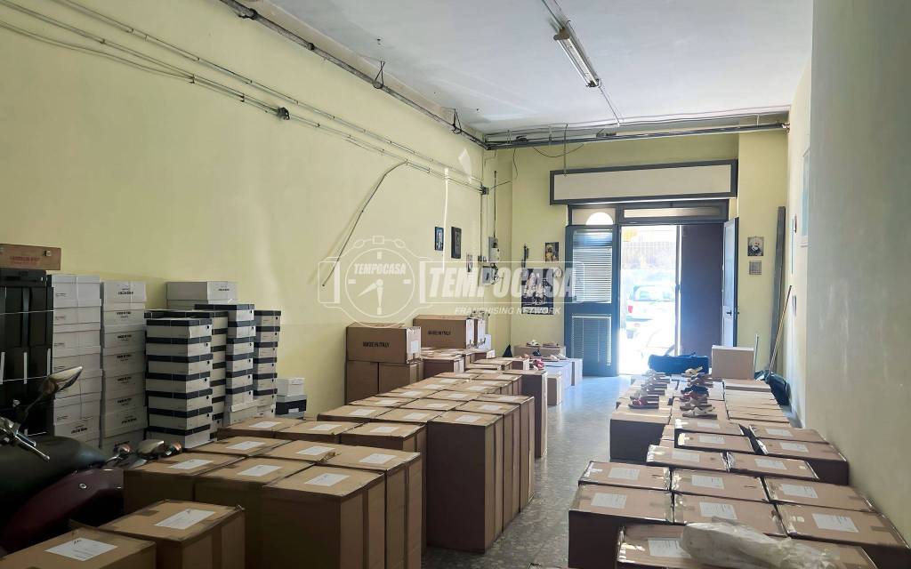 immagine annuncio 1 di 14