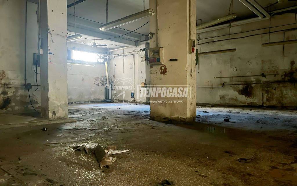 immagine annuncio 3 di 14