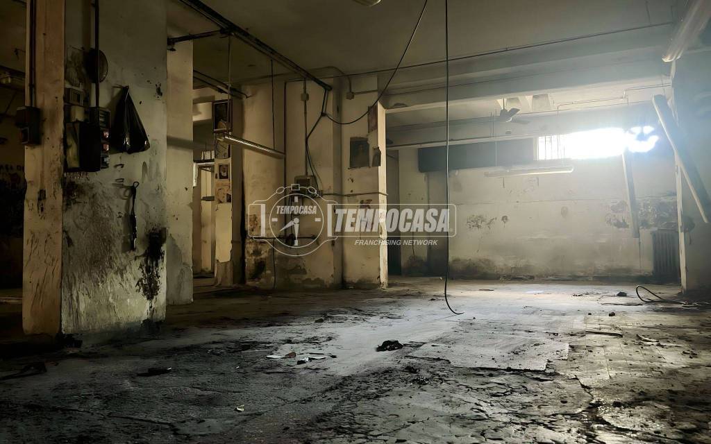 immagine annuncio 6 di 14
