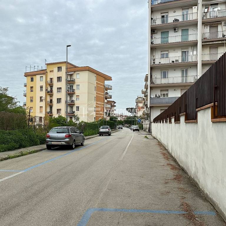 immagine annuncio 7 di 14