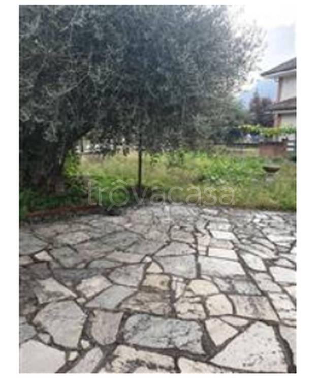 immagine annuncio 10 di 13