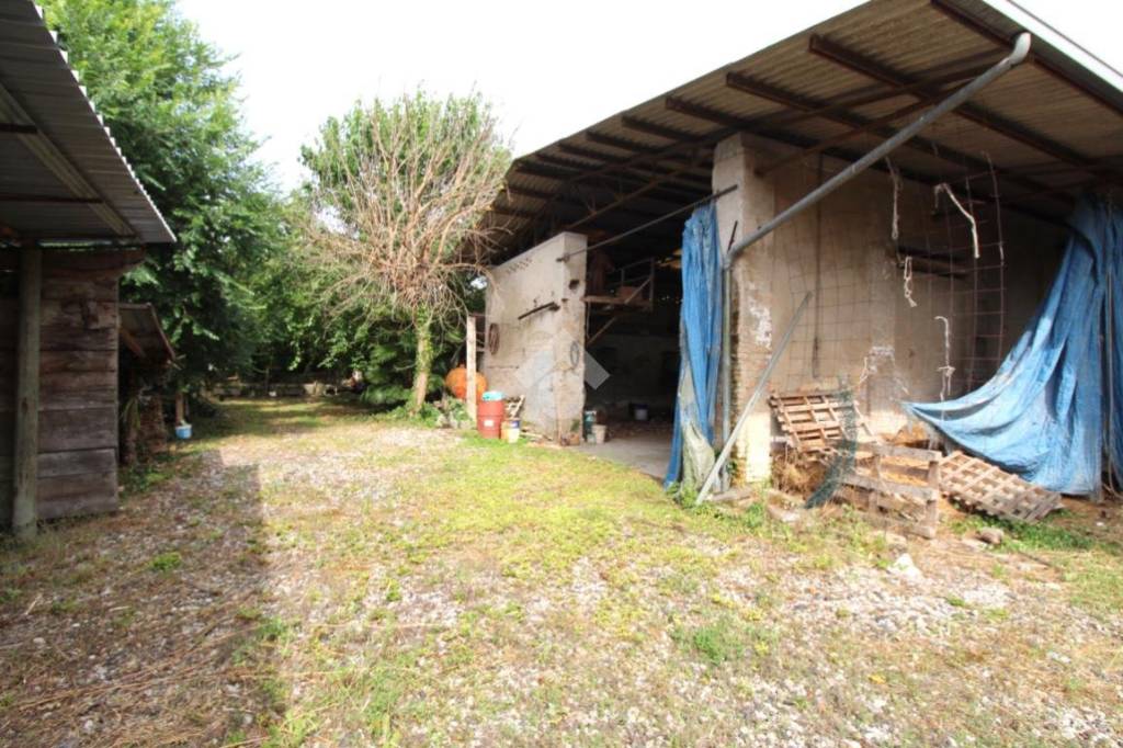immagine annuncio 8 di 12