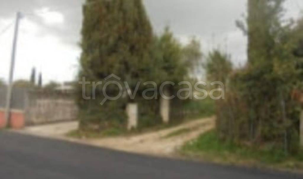 immagine annuncio 11 di 14