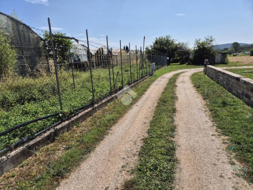 immagine annuncio 5 di 7
