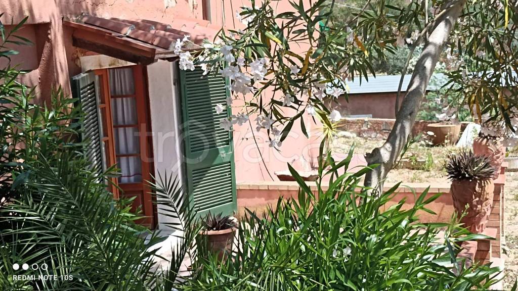 immagine annuncio 6 di 8