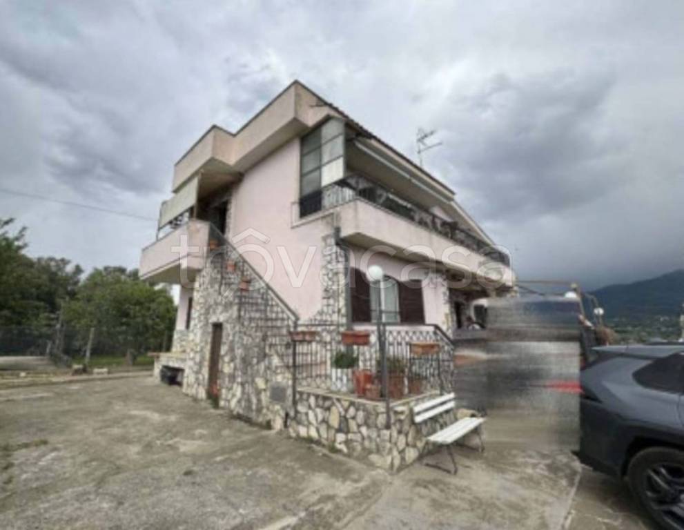 immagine annuncio 6 di 14