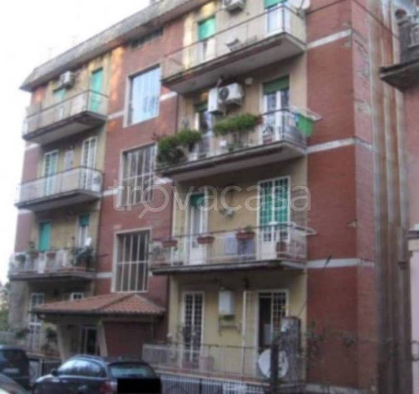 immagine annuncio 10 di 14