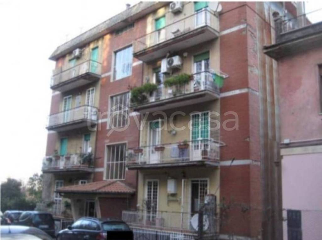 immagine annuncio 11 di 14